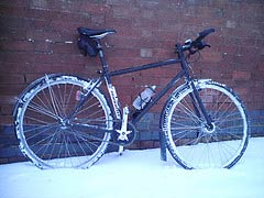 Snowy Roadrat