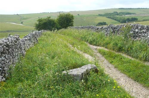 Black Harry Trails Project