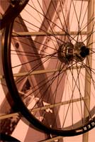 King Earl wheel
