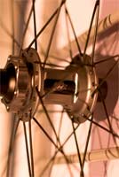 King Earl hub