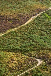 Tom on Cranberry Clough by John Coefield
