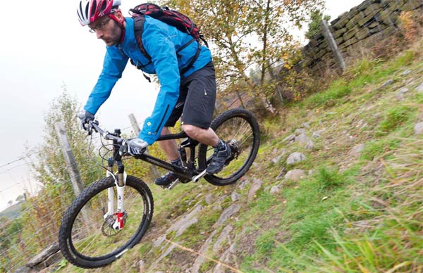 Hemlock in Singletrack