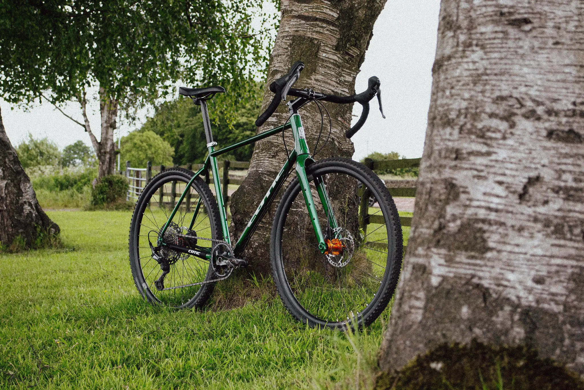 Cotic Escapade, Sale, bargain, discount