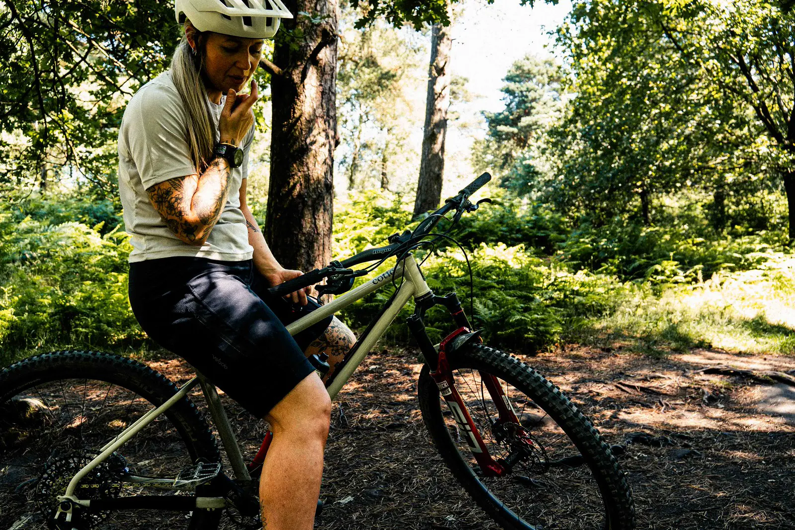 Solaris Steel Hardtail