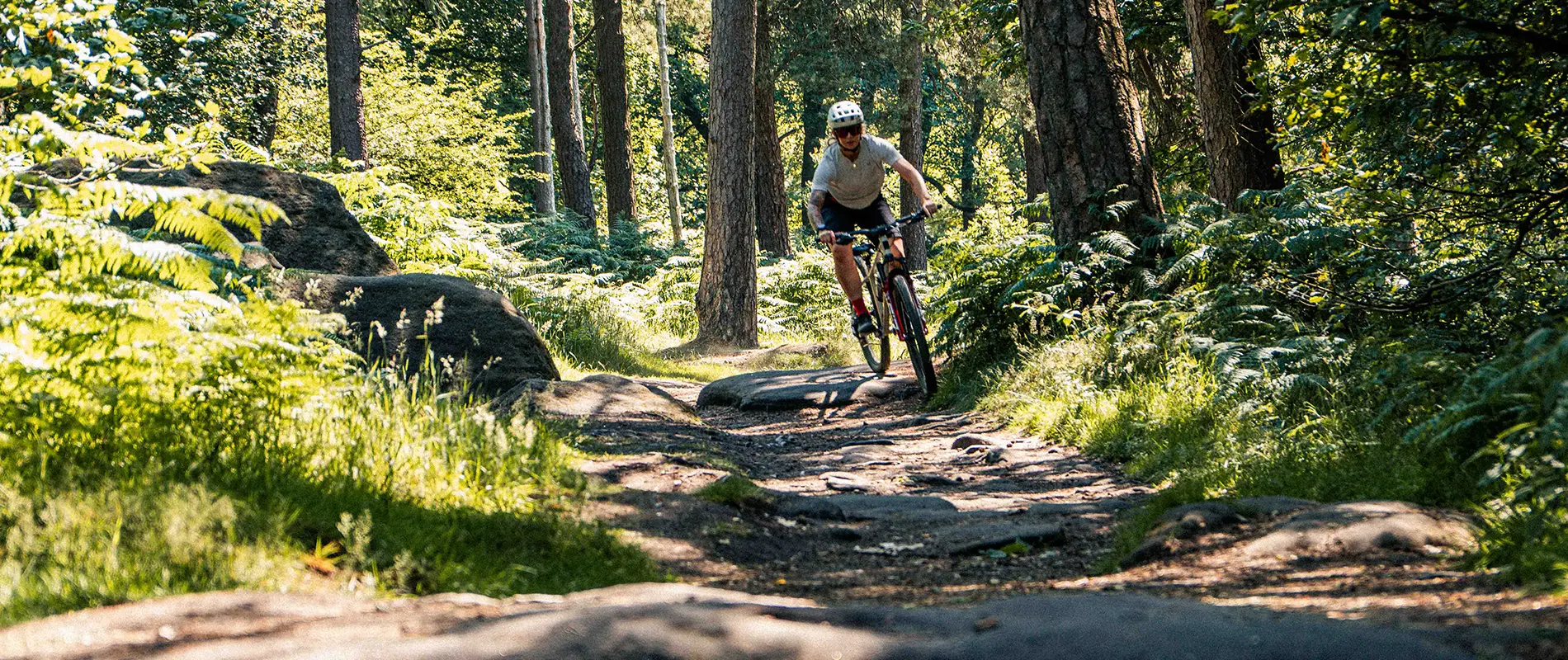 Cotic Solaris 853 29er hardtail